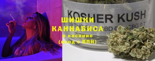 спайс Арсеньев
