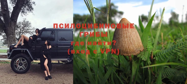 спайс Арсеньев