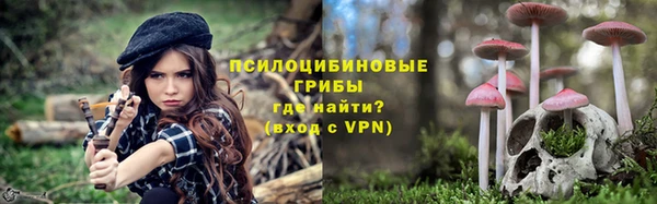 спайс Арсеньев