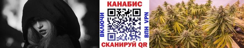 закладка  Инза  Бошки марихуана сатива 